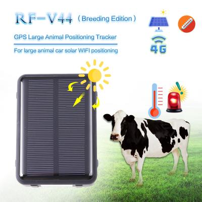 China 4G long battery RF-V44 cow gps tracking device for temperature accuracy and solar power waterproof real-time gps trackin zu verkaufen