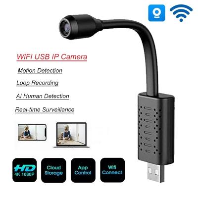 China Surveillance Cameras With Wifi Mini Camera IP USB Full HD 1080P P2P CCTV SD Card Cloud Storage Smart AI Human Detection for sale