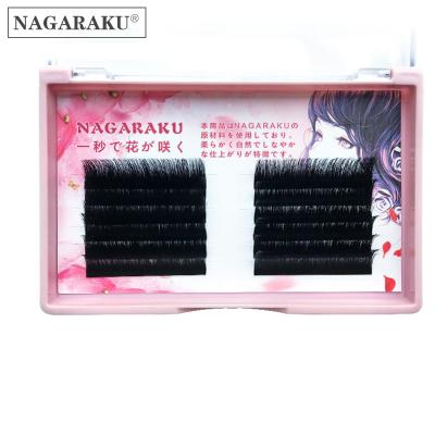 China September Soft Fan Eyelashes Volume Blossom Eyelashes Extensions Russian Super Gorgeous Super Mink Eyelashes Automatic Autoflowering Autofloracion for sale