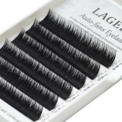 China Brand Volume Eyelash Extension Easy Fan Clean Individual Mink Easy Fan Private Label Whips 0.03 Blooming Eyelash Extensions for sale