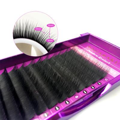 China Natural Soft Eyelash Extensions Mixed Length in One Lash Strip Camellia Eyelash Pandora Eyelashes for sale