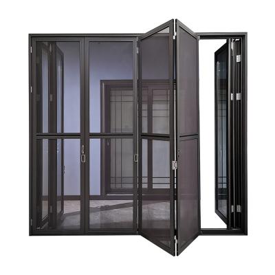 China Foshan New Modern Trend Sliding Pleat Glass Interior Doors and Insect Security Screen Folding Doors for sale