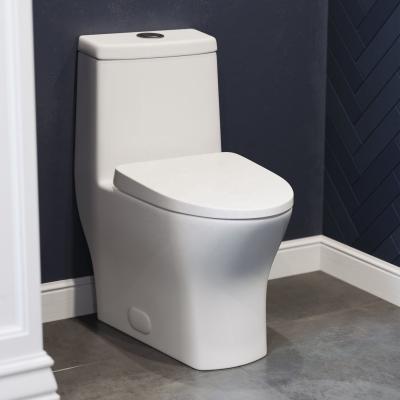 China South American Double-Flow ORTONBATH Style WC Sanitary One-Piece Toilet Double GPF Seat Soft Flush Soft Narrow Convenience Toilet for sale