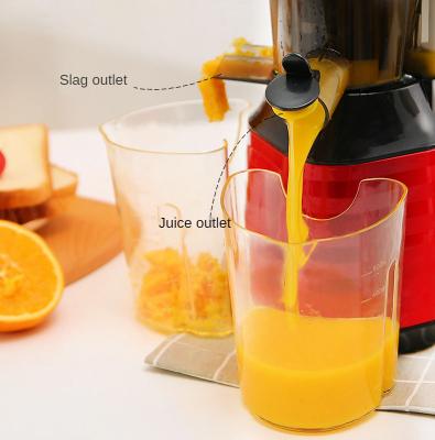 China Outdoor Professional Electric Masticating Juicer 800ml Pulp Separation Blender for sale