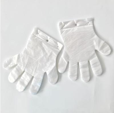 China Kitchen Essentials Plastic Material PE Eco - Friendly Disposable Gloves With Stopping Point And Holes for sale