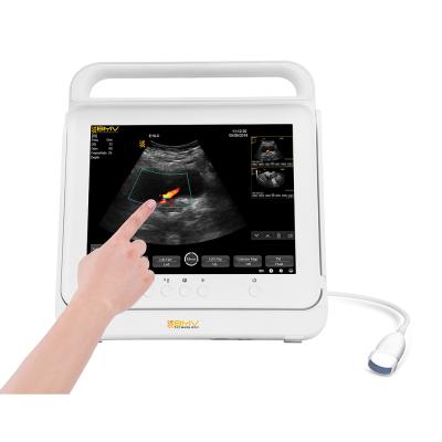 China Big and Small Animals 2021 Best Selling Color Doppler Ultrasound Scanner (Veterinary) for sale