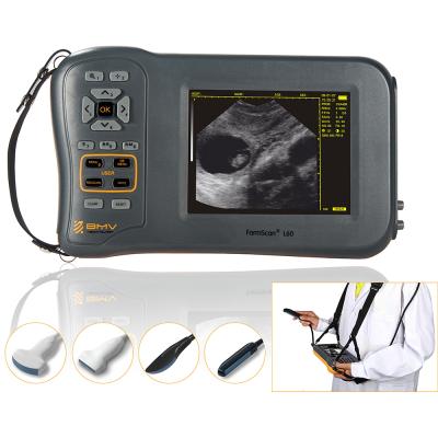 China Farmscan L60 equine ecografo handheld portable portable for cattle pig sheep cts800 equine veterinary ultrasound machine for sale