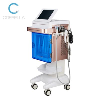 China 2021 Exfoliators Summer Salon Hydra Multifunctional Water Facial Dermabrasion Machine/Hydraulic Dermabrasion Machine for sale