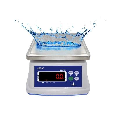 China Battery 6V/5Ah 30KG Waterproof Scale with Double Layer Structure and Precision Sensor for sale