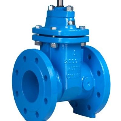 China General BODY: DI DISC: EPDM+DI resilient seat gate valve DN200 PN10 for sale