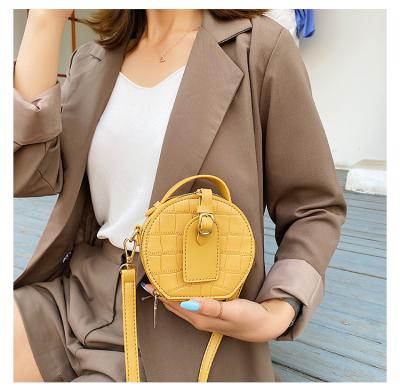 China 2020 New Fashion Mini Round Buckle Bag Vintage Pattern Totes Crocodile Top-handle Designer Handbags Small Crossbody Messenger Stone Bag for sale