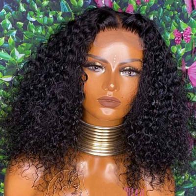 China Best Selling Kinky Curly Hair Curly Hair 250% Density Natural Hair Wigs On Promotion for sale