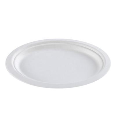 China Sale Well Compostable 100% 6