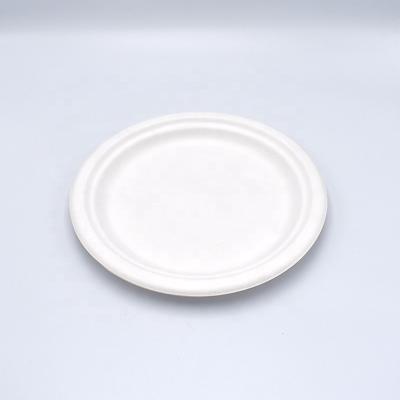 China High Grade Biodegradable Sugarcane Bagasse Material Tableware Compostable Paper Plates Eco Disposable Dish for sale