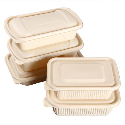 China Custom Sugar Cane Biodegradable Compostable Food Grade Tray Paper Pulp Lunch Tableware for Fruit Salad for sale