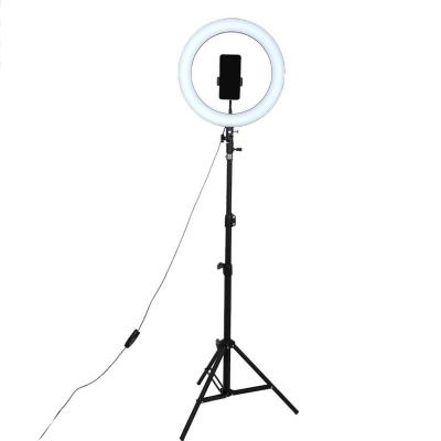 China Brand New 2019 Selfie Ring Light With Cell Phone Tripod Stand For Selfie Living Makeup for sale