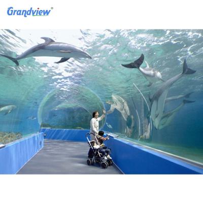 China Virgin Cast Acrylic Ray Shape Acrylic Swimming Pool Aquarium Tunnel For Acrylic Oceanarium for sale