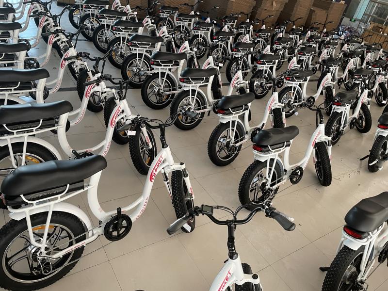 確認済みの中国サプライヤー - Huzhou Thunder Electric Bike Co., Ltd.