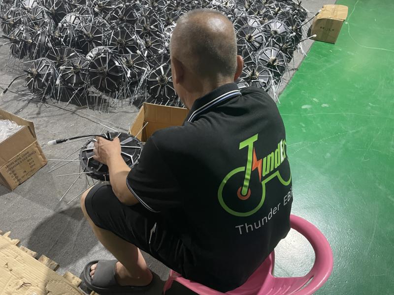 Verifizierter China-Lieferant - Huzhou Thunder Electric Bike Co., Ltd.