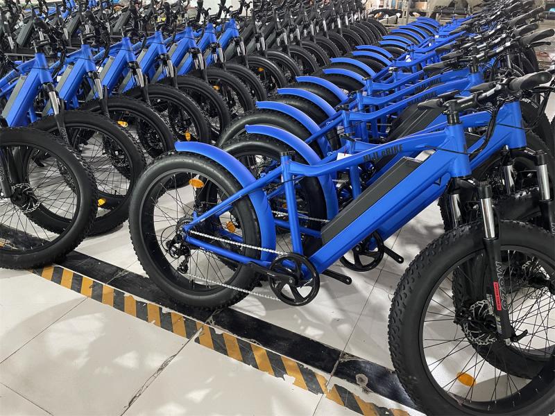 確認済みの中国サプライヤー - Huzhou Thunder Electric Bike Co., Ltd.