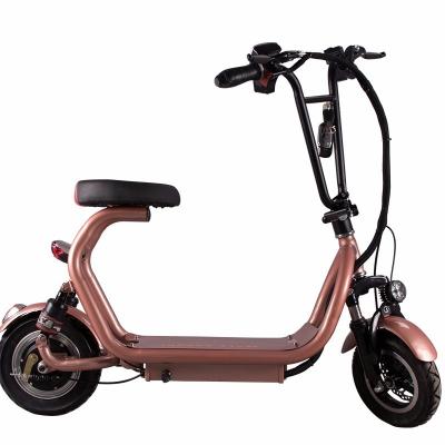 China Velocidad máxima 20-25km/h 350W Citycoco Bike para un viaje rápido y conveniente por la ciudad en venta