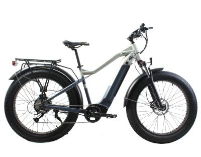 Китай 9 Speed Electric Bike 26