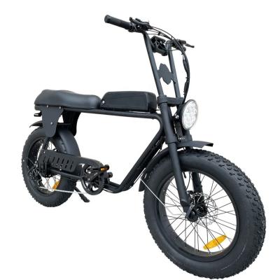 中国 Fat Tire 73 Electric City Bike Front Suspension 48V 500W 750W Electric Bicycle 20