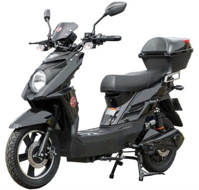 China New Arrival Electric Motorbike 48V 500W Strong Power 800W Pedal Assist Electric Bike Motorcycles en venta