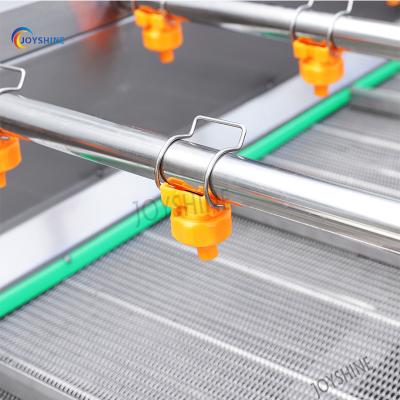 China 4000*1200*1300mm Fruit Vegetable Washer and Sterilizer Orange Fruit Washing Machine for sale