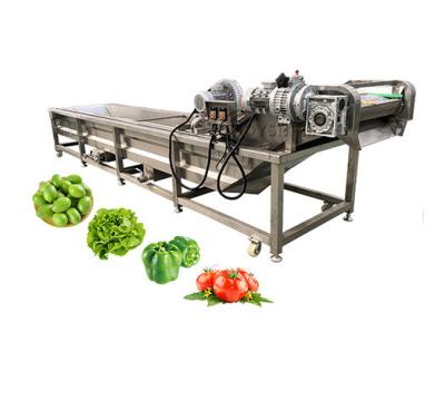 China 100-500kg/H Ozone Fruit And Vegetable Washer For Cleaning Carrots And Cassava for sale