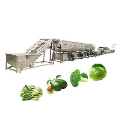 China Commercial Vegetable Washing Machine And Sustainable Cleaning Restaurant Food Shop for sale