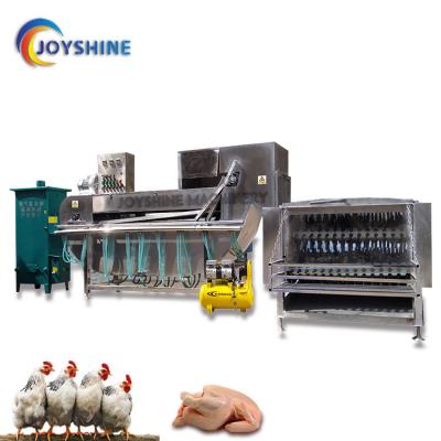 China Galvanized Carbon Steel Frame Halal Poultry Slaughterhouse Equipment for Broiler Farm for sale