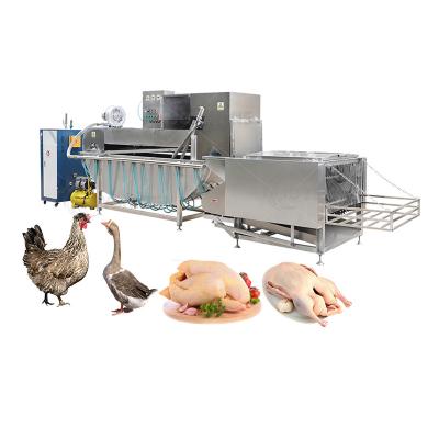 China High Productivity Chicken Scalding Machine Poultry Scalder Plucker for Slaughtering for sale