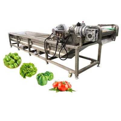 China Item Fruit Vegetable Washer Avocado Wash Machine 4.45KW Vegetable Washing Machine for sale