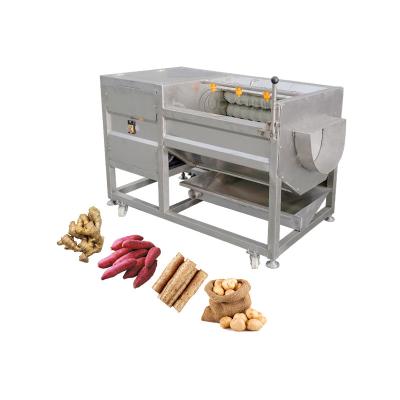 China Root Vegetables Cleaning Washing Peeling Machine for Carrot Potato Cassava Ginger for sale