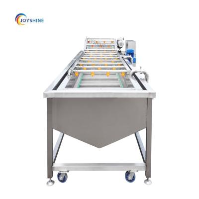 China 500kg Avocado Fruit Washing Waxing Sorting Machine Vegetable Cleaning Processing Line for sale