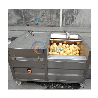 China Large Capacity Brush Type Cassava Sweet Potato Carrot Fresh Ginger Washer Peeler Machine for sale