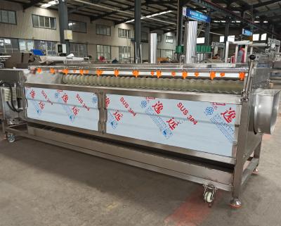 China Joyshine Brush Roller Ginger Sweet Potato Peeling and Cleaning Machine 1200kg per Hour for sale