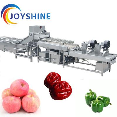 China JOYSHINE Group's Mango Washing Machine Easy to Operate at 500kg/h Production Capacity for sale