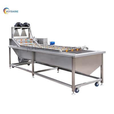 China Automatic Conveyor Belt Industrial Fruit Vegetable Cleaning Machine for Farms 480kg for sale