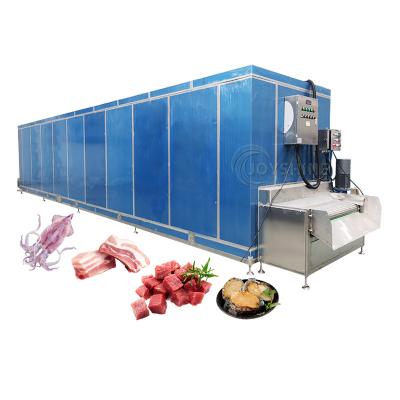 China Joyshine Cold Room Freezer for Iqf Individual Quick Freezing of Fish and Seafood for sale