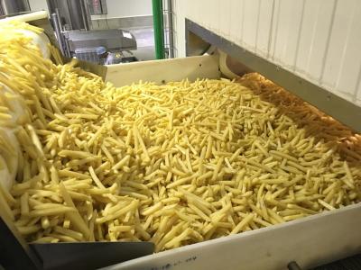 China Industriële aardappelchips Volledig automatische Franse frietproductielijn met automatische rangschikking Te koop