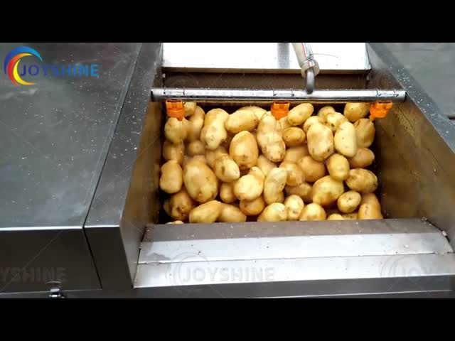 Semi-Automatic Frozen French Fries Production Line for Easy Operation and Maintenance