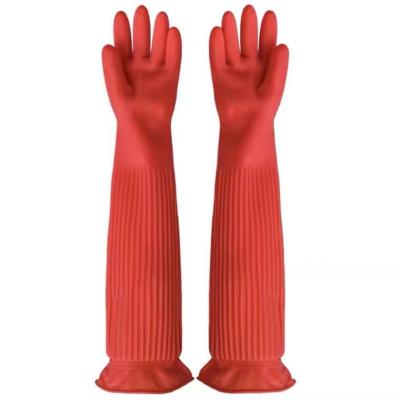 China Guante extralargo de la limpieza de la cocina 120G/Pair de los guantes los 45CM del látex del puño del XL en venta