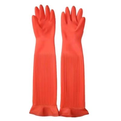 China Guantes extralargos alineados multitud del látex del trabajo de los guantes 195G/Pair del hogar de los 55CM en venta