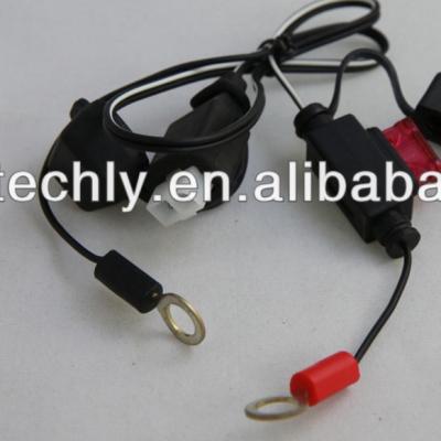 China Electronic 2 Pin Connector With Indicator Eyelet Power Cable Wire Harness for sale