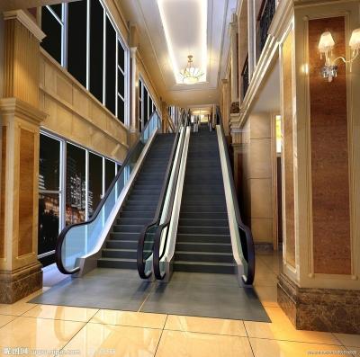 China inclination 30 degree or 35 degree step width 600, 800, 1000 mm, lift height 4 meters, 4.5 meters, indoor & outdoor escalator à venda