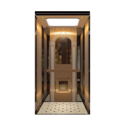 Cina New arrival China Good custom-made elevator with reasonable price full plus ARD From MSDS Elevator in vendita