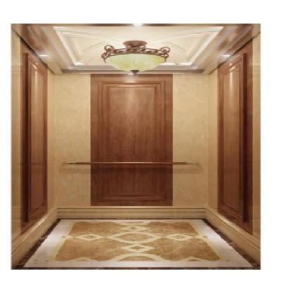 China Indoor Commercial Stainless Steel Elevator Full Collection GSM-B1 Costomized for sale