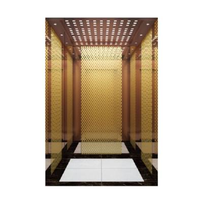 China China Wholesale Plastic Sprayed Steel Plate Indoor Domestic Elevator House Lift Elevators For Villa for sale